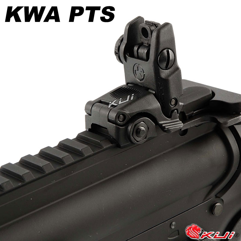 即將絕版!KWA MAGPUL PTS RM4 ERG CQB 電動槍,電槍(無彈斷電設計,有後座力)