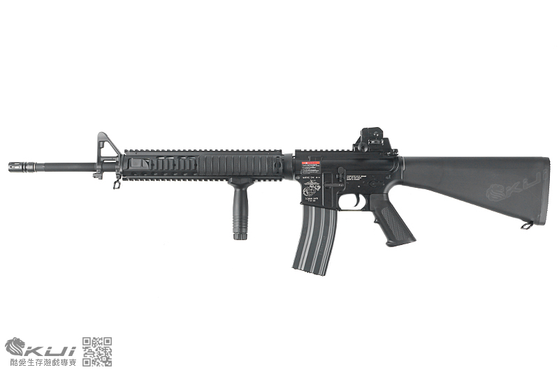 G&G 怪怪 GR16 R5 M16固定托全金屬電動槍,電槍