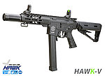 點一下即可放大預覽 -- SRC HAWK-V 電動槍，電子版機 AEG衝鋒槍，雙彈匣